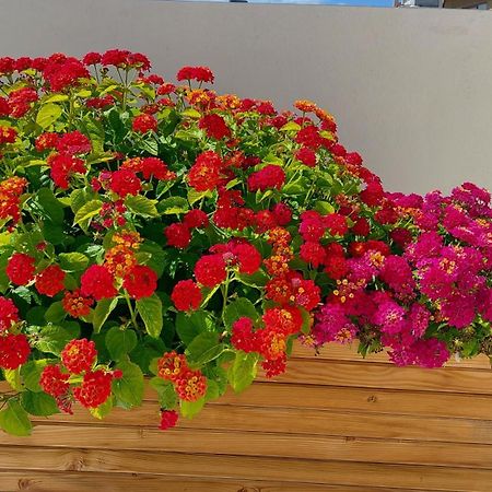 The Little Big Apartment In The Heart Of Heraklion 외부 사진