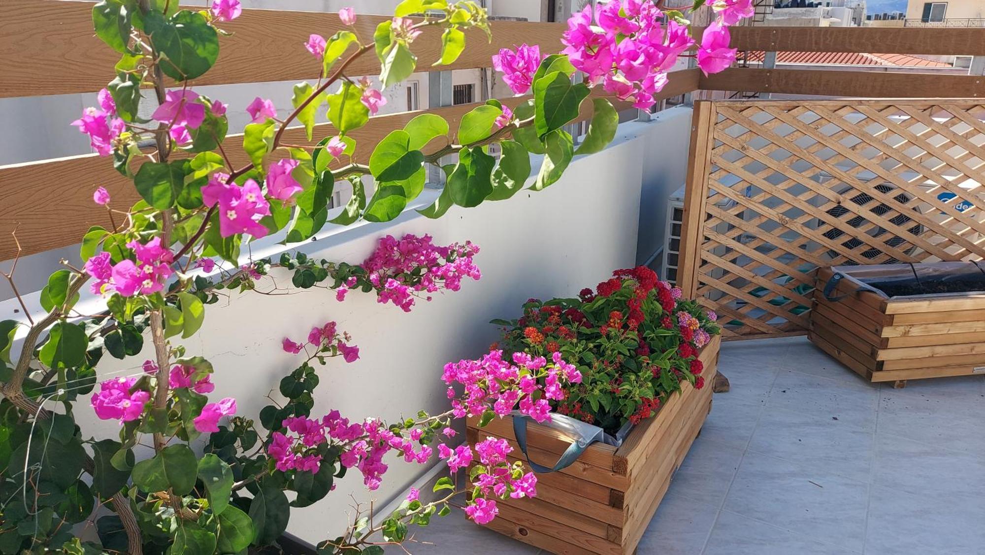 The Little Big Apartment In The Heart Of Heraklion 외부 사진