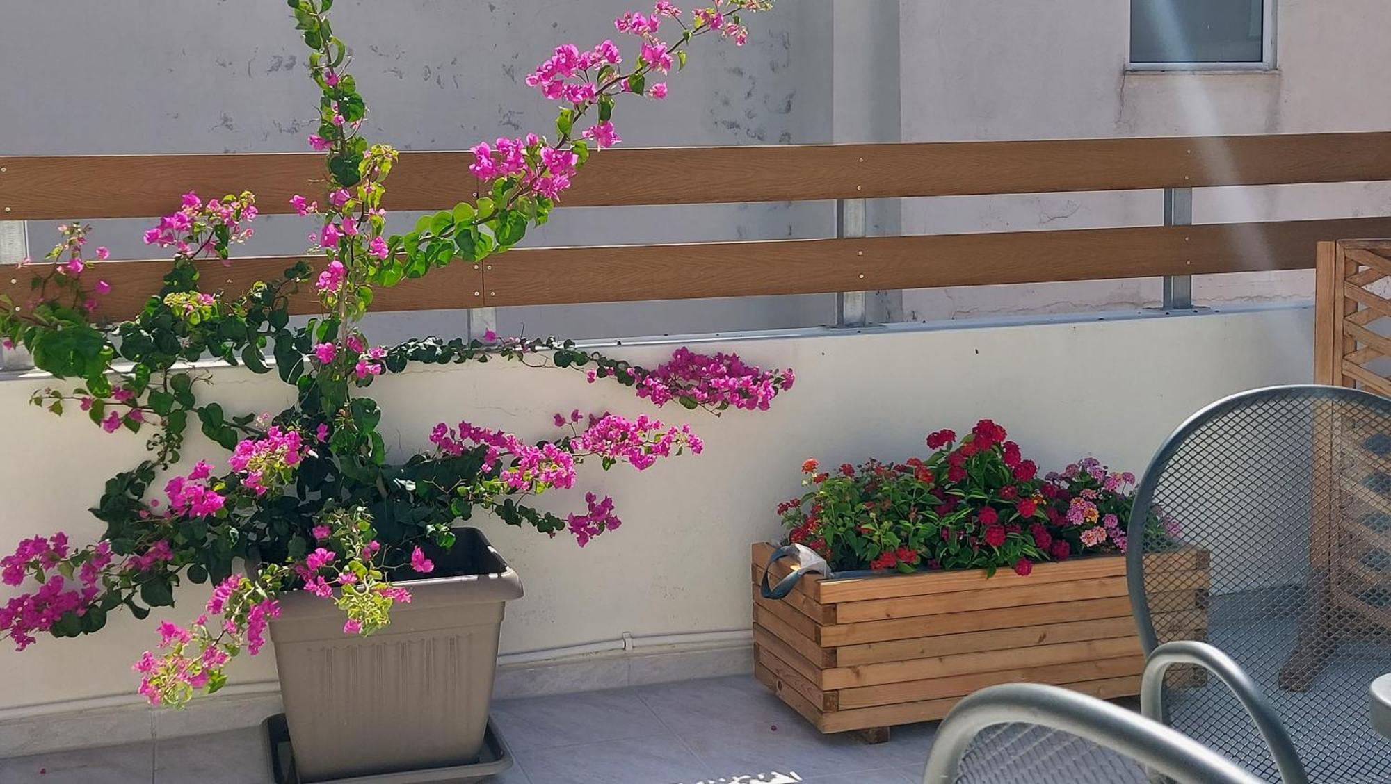 The Little Big Apartment In The Heart Of Heraklion 외부 사진